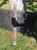 Filename : IMG_3006.JPG
Filesize : 32KB
Dimensions : 240x320
Date added : Jul 05, 2017 IMG_3006.JPG