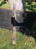 Filename : IMG_3007.JPG
Filesize : 32KB
Dimensions : 240x320
Date added : Jul 05, 2017 IMG_3007.JPG