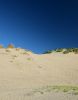 Filename : 3-DSC_0076.JPG
Filesize : 254KB
Dimensions : 1250x1600
Date added : Jul 28, 2017 3-DSC_0076.JPG