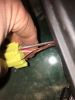 Filename : IMG_7012.JPG
Filesize : 642KB
Dimensions : 1750x2333
Date added : Apr 28, 2017 IMG_7012.JPG