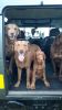 Filename : 20170702_144855.jpg
Filesize : 881KB
Dimensions : 1750x3111
Date added : Jul 04, 2017 20170702_144855.jpg