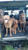 Filename : 20170702_144915.jpg
Filesize : 1062KB
Dimensions : 1750x3111
Date added : Jul 04, 2017 20170702_144915.jpg