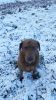 Filename : 20171124_134253.jpg
Filesize : 1455KB
Dimensions : 1750x3111
Date added : Nov 25, 2017 20171124_134253.jpg