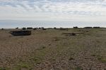 Filename : Dungeness.JPG
Filesize : 458KB
Dimensions : 1750x1163
Date added : Jul 24, 2020 Dungeness.JPG