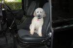 Filename : SDC13374.JPG
Filesize : 425KB
Dimensions : 1750x1166
Date added : Jul 31, 2017 SDC13374.JPG