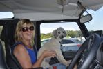 Filename : _DSC0231.JPG
Filesize : 1057KB
Dimensions : 1750x1170
Date added : Jun 28, 2018 _DSC0231.JPG