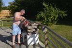 Filename : _DSC0249.JPG
Filesize : 1557KB
Dimensions : 1750x1170
Date added : Jun 28, 2018 _DSC0249.JPG