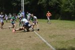 Filename : _DSC0311.JPG
Filesize : 1364KB
Dimensions : 1750x1170
Date added : Jul 15, 2018 _DSC0311.JPG