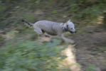 Filename : _DSC0738.JPG
Filesize : 973KB
Dimensions : 1750x1170
Date added : Sep 27, 2018 _DSC0738.JPG