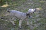 Filename : _DSC0739.JPG
Filesize : 1155KB
Dimensions : 1750x1170
Date added : Sep 27, 2018 _DSC0739.JPG