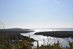 Filename : _DSC0912.JPG
Filesize : 885KB
Dimensions : 1750x1170
Date added : Feb 25, 2019 _DSC0912.JPG