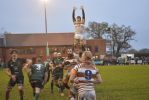 Filename : _DSC0976.JPG
Filesize : 1144KB
Dimensions : 1750x1170
Date added : Jan 07, 2019 _DSC0976.JPG