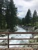 Filename : IMG_1125.JPG
Filesize : 1609KB
Dimensions : 1750x2333
Date added : Jul 16, 2019 IMG_1125.JPG