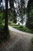 Filename : IMG_7719.JPG
Filesize : 137KB
Dimensions : 480x720
Date added : Aug 18, 2018 IMG_7719.JPG