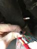Filename : IMG_9190.JPG
Filesize : 928KB
Dimensions : 1750x2333
Date added : Jan 20, 2019 IMG_9190.JPG