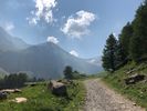 Filename : OODG6533.JPG
Filesize : 299KB
Dimensions : 1600x1200
Date added : Jul 16, 2019 OODG6533.JPG
