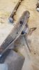 Filename : 20170222_160342.jpg
Filesize : 943KB
Dimensions : 1750x3111
Date added : Sep 28, 2017 20170222_160342.jpg