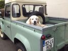 Filename : IMG_0317~0.JPG
Filesize : 793KB
Dimensions : 1750x1307
Date added : Mar 15, 2018 IMG_0317~0.JPG