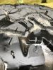 Filename : A52A301D-B39F-4186-BAC2-9BEF9702F0A1.jpeg
Filesize : 996KB
Dimensions : 1750x2333
Date added : Mar 06, 2018 A52A301D-B39F-4186-BAC2-9BEF9702F0A1.jpeg