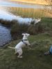 Filename : EA725824-3730-4F76-85ED-4309D6BB125C.jpeg
Filesize : 2081KB
Dimensions : 1750x2333
Date added : Jan 01, 2018 EA725824-3730-4F76-85ED-4309D6BB125C.jpeg