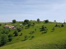 Filename : 20180523_110104kl.jpg
Filesize : 442KB
Dimensions : 1210x908
Date added : Jun 01, 2018 20180523_110104kl.jpg