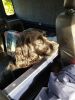 Filename : 20180217_101518.jpg
Filesize : 1636KB
Dimensions : 1750x2333
Date added : Feb 17, 2018 20180217_101518.jpg