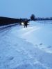 Filename : 20180301_174455.jpg
Filesize : 1177KB
Dimensions : 1750x2333
Date added : Mar 01, 2018 20180301_174455.jpg