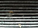 Filename : IMG_20171228_1155375.jpg
Filesize : 697KB
Dimensions : 1750x1313
Date added : Dec 29, 2017 IMG_20171228_1155375.jpg