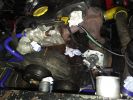 Filename : IMG_20181209_1344411.jpg
Filesize : 731KB
Dimensions : 1750x1313
Date added : Dec 09, 2018 IMG_20181209_1344411.jpg