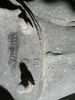 Filename : IMG_20190223_1212550.jpg
Filesize : 1480KB
Dimensions : 1750x2333
Date added : Feb 23, 2019 IMG_20190223_1212550.jpg