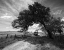Filename : defender tree arch.jpg
Filesize : 1364KB
Dimensions : 1750x1356
Date added : Jan 19, 2018 defender tree arch.jpg
