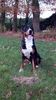Filename : IMG-20141102-WA0003.jpg
Filesize : 216KB
Dimensions : 720x1280
Date added : Feb 27, 2019 IMG-20141102-WA0003.jpg