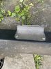 Filename : A051D602-2033-4102-B7AF-898C22273F53.jpeg
Filesize : 1720KB
Dimensions : 1750x2333
Date added : May 21, 2020 A051D602-2033-4102-B7AF-898C22273F53.jpeg