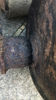 Filename : 3F60D55A-7B90-4201-8BA0-19AB4272A232 2.JPG
Filesize : 374KB
Dimensions : 750x1334
Date added : Feb 09, 2020 3F60D55A-7B90-4201-8BA0-19AB4272A232 2.JPG