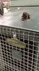 Filename : A3CEC8EC-A8E7-4A82-B620-3F787F216C9F.JPG
Filesize : 239KB
Dimensions : 750x1333
Date added : May 26, 2019 A3CEC8EC-A8E7-4A82-B620-3F787F216C9F.JPG