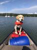 Filename : IMG_1019.jpg
Filesize : 1140KB
Dimensions : 1750x2333
Date added : Jun 09, 2019 IMG_1019.jpg