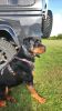 Filename : Alf1.jpg
Filesize : 553KB
Dimensions : 1155x2048
Date added : Jul 28, 2018 Alf1.jpg