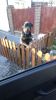 Filename : DSC_2714.JPG
Filesize : 1322KB
Dimensions : 1750x3103
Date added : Oct 23, 2018 DSC_2714.JPG
