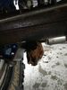 Filename : 19DDCE6F-2A7A-4FC8-AA44-2CEF8C8F4F58.jpeg
Filesize : 1144KB
Dimensions : 1750x2333
Date added : Feb 17, 2019 19DDCE6F-2A7A-4FC8-AA44-2CEF8C8F4F58.jpeg