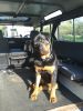 Filename : 20180514_182020.jpg
Filesize : 1745KB
Dimensions : 1750x2333
Date added : Jul 03, 2018 20180514_182020.jpg