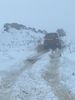 Filename : 007F7502-CE52-421D-8FE8-A82EF6E0F144.jpeg
Filesize : 740KB
Dimensions : 1750x2333
Date added : Dec 06, 2020 007F7502-CE52-421D-8FE8-A82EF6E0F144.jpeg