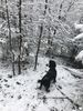 Filename : 9170610E-F118-43E2-A73C-D69F30D650AA.jpeg
Filesize : 1705KB
Dimensions : 1750x2333
Date added : Jan 02, 2021 9170610E-F118-43E2-A73C-D69F30D650AA.jpeg
