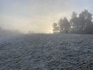Filename : 9895A81E-9790-4813-AF76-5649577AE39F.jpeg
Filesize : 881KB
Dimensions : 1750x1313
Date added : Jan 29, 2022 9895A81E-9790-4813-AF76-5649577AE39F.jpeg