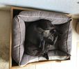 Filename : A43575F0-66FE-4461-95D8-8B1E6159A5BB.jpeg
Filesize : 874KB
Dimensions : 1750x1523
Date added : Apr 29, 2019 A43575F0-66FE-4461-95D8-8B1E6159A5BB.jpeg