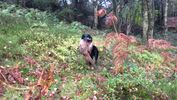 Filename : BFF11CA9-3386-4F3E-9235-9FAADC94BCAF.jpeg
Filesize : 606KB
Dimensions : 1750x985
Date added : Nov 09, 2019 BFF11CA9-3386-4F3E-9235-9FAADC94BCAF.jpeg