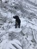 Filename : C616DA35-E931-42B5-9401-6E50CA27FA66.jpeg
Filesize : 1787KB
Dimensions : 1750x2333
Date added : Jan 02, 2021 C616DA35-E931-42B5-9401-6E50CA27FA66.jpeg