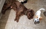 Filename : 20190406_135850.jpg
Filesize : 1387KB
Dimensions : 1750x1107
Date added : Apr 06, 2019 20190406_135850.jpg