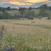 Filename : 7B97706A-EA82-4705-B0F9-48C8105C5518.jpeg
Filesize : 488KB
Dimensions : 1440x1440
Date added : Jul 12, 2021 7B97706A-EA82-4705-B0F9-48C8105C5518.jpeg
