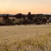 Filename : E49EEDC2-30B4-4DF6-9E2D-03C5FC3AEEB3.jpeg
Filesize : 487KB
Dimensions : 1440x1440
Date added : Jul 12, 2021 E49EEDC2-30B4-4DF6-9E2D-03C5FC3AEEB3.jpeg
