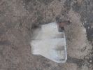 Filename : 20240201_132944.jpg
Filesize : 1091KB
Dimensions : 1750x1313
Date added : Feb 01, 2024 20240201_132944.jpg